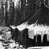 Tent and clothesline in snow. click here for full image
